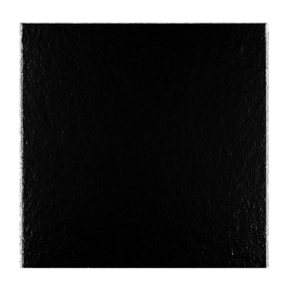 Vierkant zwart 22x22 2,5mm 100st