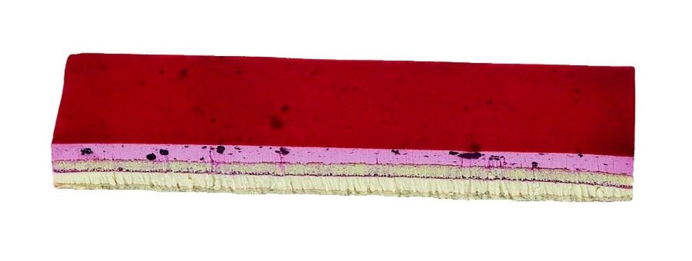 VDM B168 bosvruchten bav.