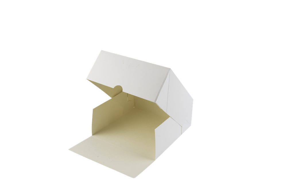 Masterbox 19x11 blanco +vernis 100st